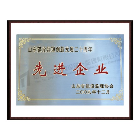 2009年先進(jìn)企業(yè)