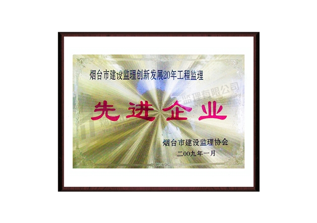 2009創(chuàng)新發(fā)展20年先進(jìn)企業(yè)